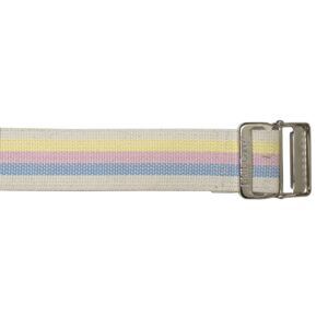 BELT, GAIT BARIATRIC W/HD WEBBING PASTEL 72″